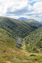 Naklejka premium View across mountain range towards Mt Feathertop in the alpine high country near Mt Hotham in Victoria, Australia 