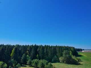 Aerial view of a forest in Belarus