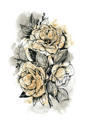 Hand drawn graphics roses with watercolor background. Sketch for design, packaging, cards, posters. 