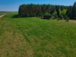 Aerial view of a forest edge in Belarus countryside