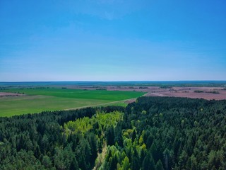 Aerial view of a forest in Belarus