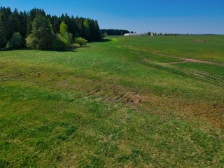 Aerial view of a forest in Belarus