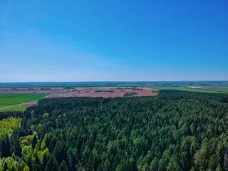 Fototapeta na wymiar Aerial view of a forest in Belarus