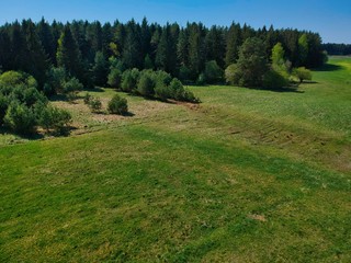 Aerial view of a forest in Belarus