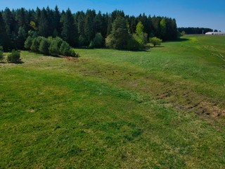 Aerial view of a forest in Belarus
