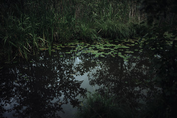Stockholm Greens