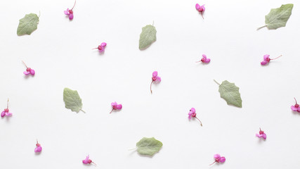 Spring pink  flowers and light green young leaves on texture white paper. Spring background for design and decoration.