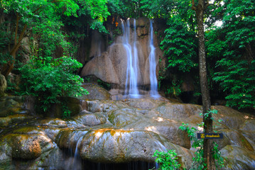 beautiful waterfall and green leaf Makes it feel fresh