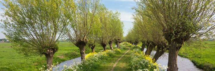 Panorama view on a typical Dutch landscape in spring in the beautiful green heart of the Netherlands. The path is part of the Pelgrimspad, an old traditional pilgrimage trail through the Netherlands