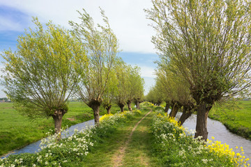 View on a typical Dutch landscape in spring in the beautiful green heart of the Netherlands. The path is part of the Pelgrimspad, an old traditional pilgrimage trail through the Netherlands