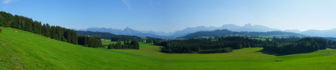 Fototapeta na wymiar Beautiful panorama on green meadon in Tirol 