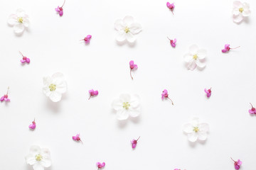 Spring pink and white flowers on texture white paper. Spring background for design and decoration.