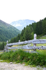 Bretterzaun - Einzäunung Weideland in den Bergen - Südtirol