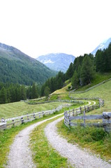 Fototapeta na wymiar Berglandschaft in Südtirol - Heuernte auf der Alm - Wanderweg mit Bretterzaun