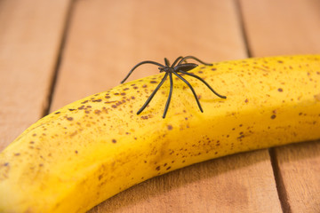 ARAÑA SOBRE BANANA