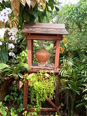 Thai parks in summer19