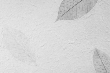 Mulberry paper with dry leaf texture background,black and white tone