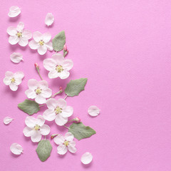 Fototapeta na wymiar Spring white flowers and light green leaves on textural pink paper. Spring background for design and decoration.