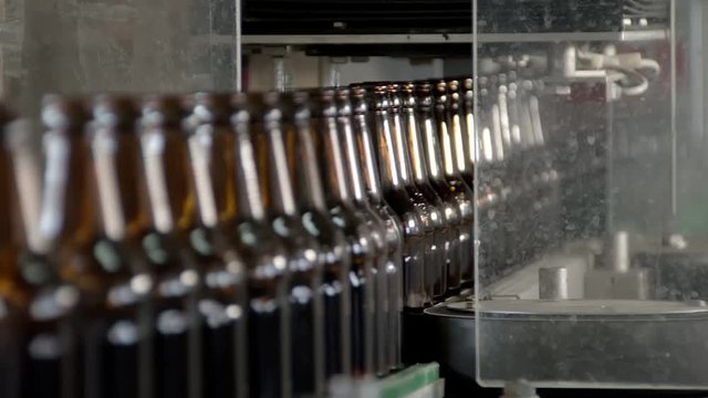 rollers and belts are moving and transporting clean beer bottles