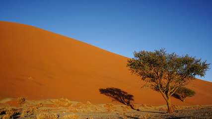 Fototapeta na wymiar Namibian Sand dunes