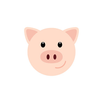 Muzzle pig Vector illustration. Flat design for business financial marketing banking advertising web concept cartoon illustration.