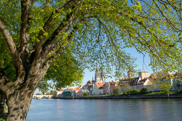 Fototapeta na wymiar Blick vom Ufer der Donau auf Regensburg