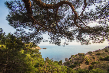 Beautiful view of the sea rocky bay