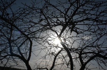 SONY DSC