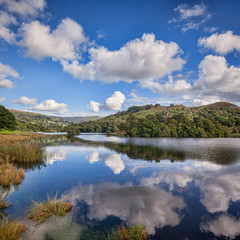Reflections in Rydal Water, Lake District National Park, Cumbria, England, UK