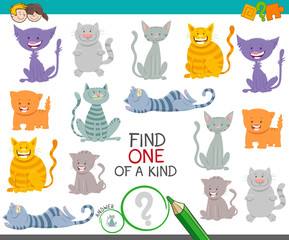 one of a kind game with cartoon cats and kittens