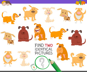 find two identical dogs task for kids
