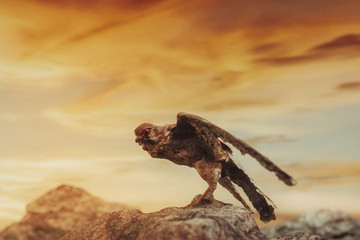 3d Rendering of single kestrel on rocks in the evening light