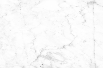 white wall background