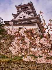 Naklejka premium Kochi Castle, Japan