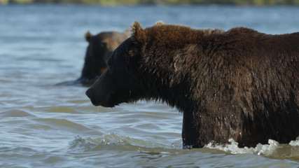 Nature of Russia