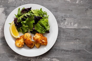 fried squid with salad and lemon on white plate