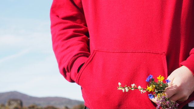 Colorful flowers on red background