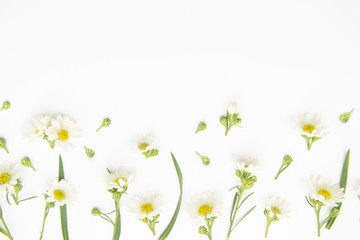 Flowers composition. Border made of daisy white flowers. Flat lay, top view
