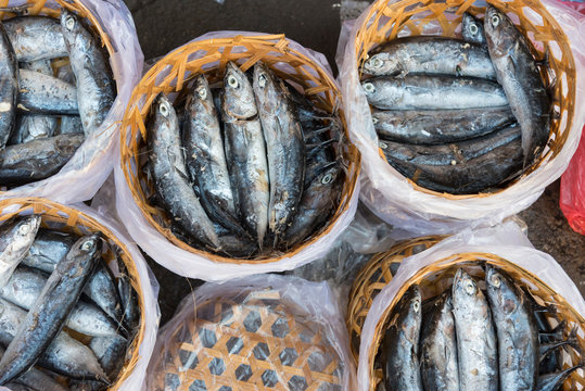 Fisch in Korb am Markt