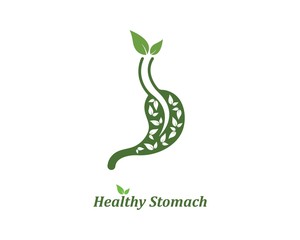 stomach vector illustration design