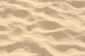 Fototapeta premium Full Frame Shot Of Sand Texture On The Beach In The Summer