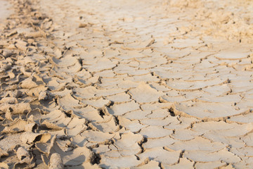 Drought, global warming, environment changes suddenly.