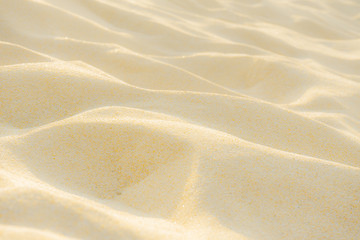 Fine beach sand in the summer sun