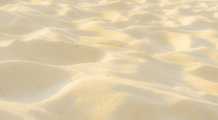 Full Frame Shot Of Sand Texture On The Beach In The Summer