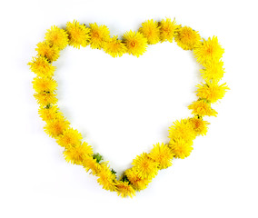 Obraz premium Simple dandelions heart isolated on white background