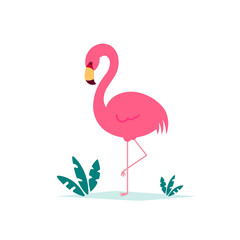 Pink flamingo vector illustration isolated on white background with tropical leaves