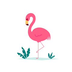 Pink flamingo vector illustration isolated on white background with tropical leaves