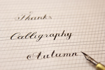 Obraz premium words are written with a wooden ink pen on a white paper sheet with stripes drawn. stationery close up top view. spelling lessons and caligraphy exercises. Template, layout, background