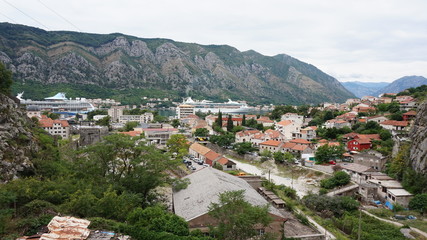 Fototapeta na wymiar Nature of Montenegro, Kotor. Kotor’s Castle Of San Giovanni