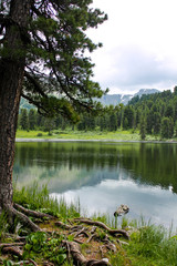 lake in the mountains, Altai Krai, Russia